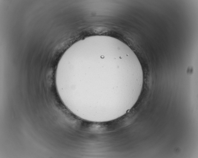 X0000111890319200908201327