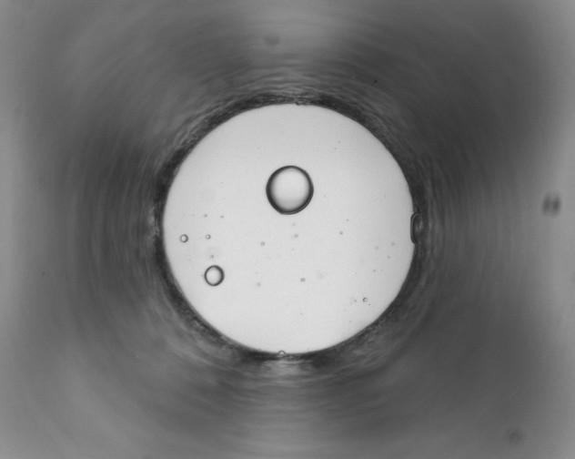 X0000111890320200908201327