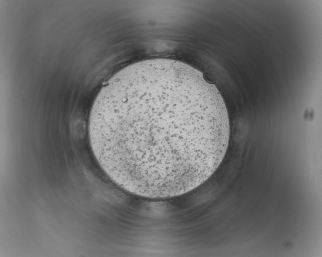 X0000111890324200908201327