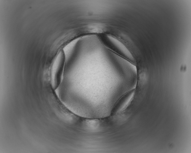 X0000111890325200908201327