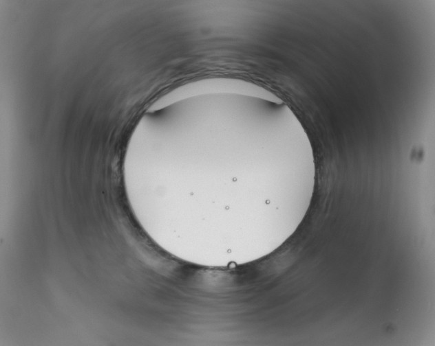 X0000111890327200908201327