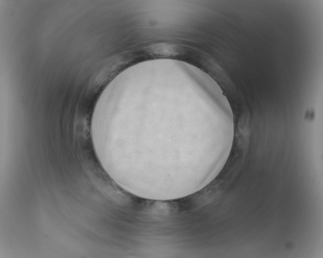 X0000111890330200908201327