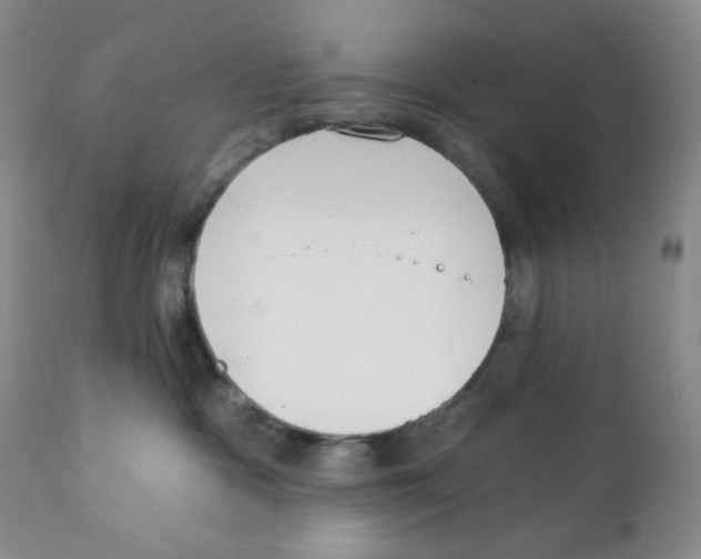 X0000111890333200908201327