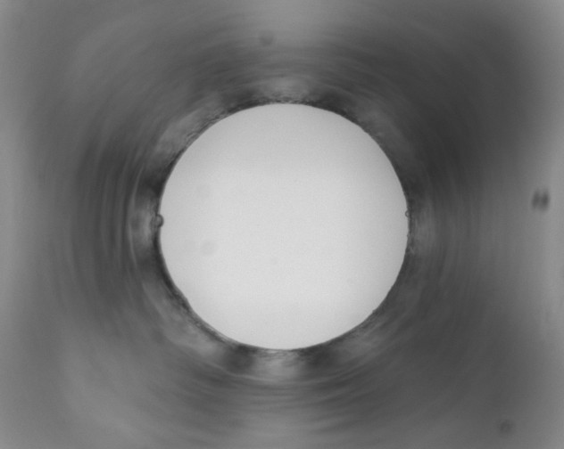 X0000111890334200908201327