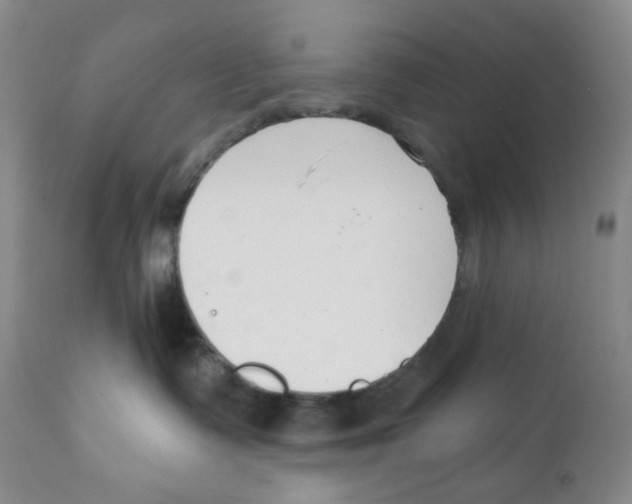 X0000111890335200908201327