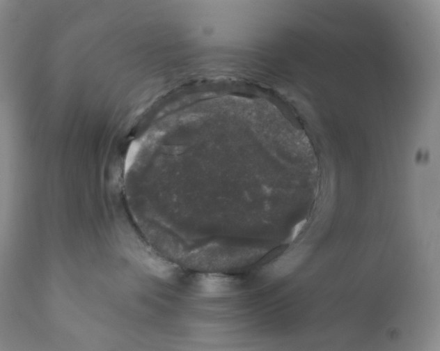 X0000111890336200908201327