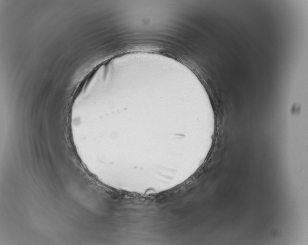 X0000111890337200908201326