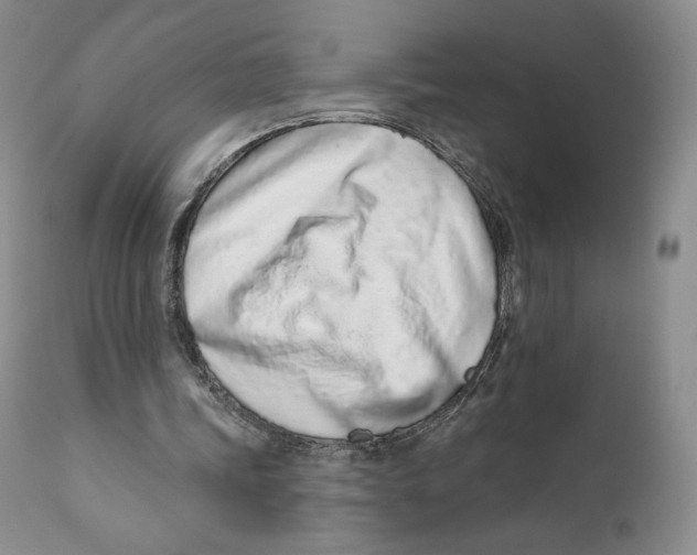 X0000111890339200908201326