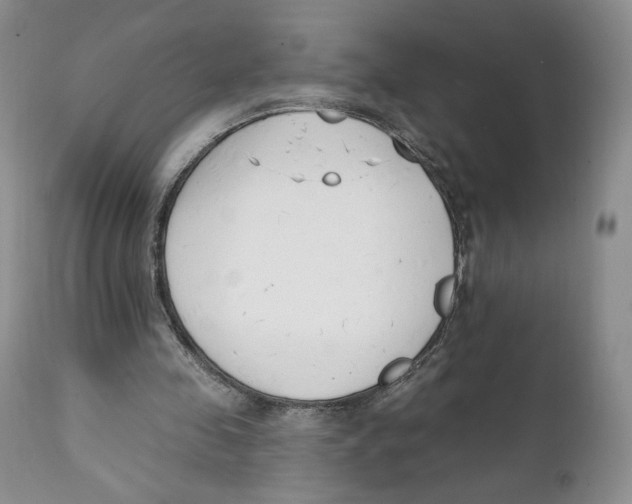 X0000111890341200908201326