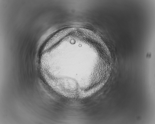 X0000111890343200908201326