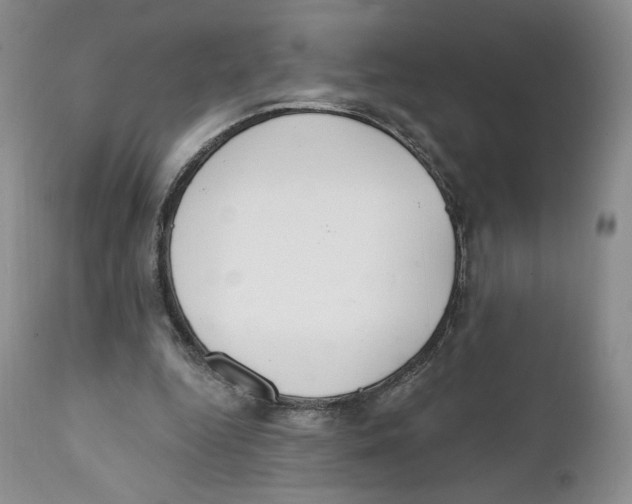 X0000111890344200908201326