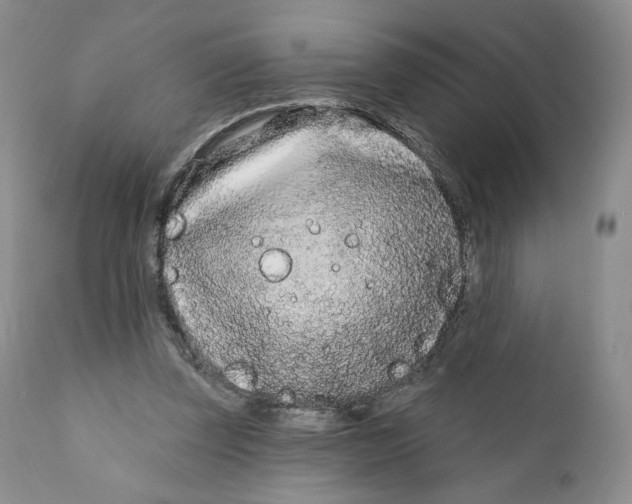 X0000111890347200908201326