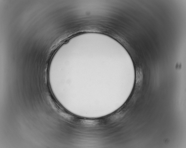 X0000111890349200908201326