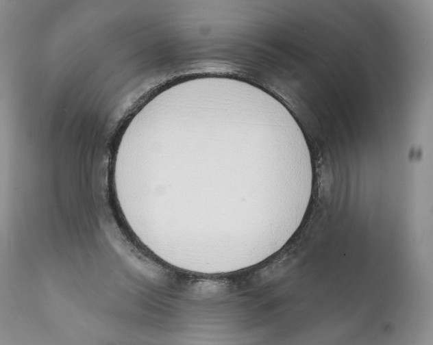 X0000111890350200908201326