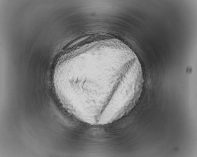 X0000111890353200908201326