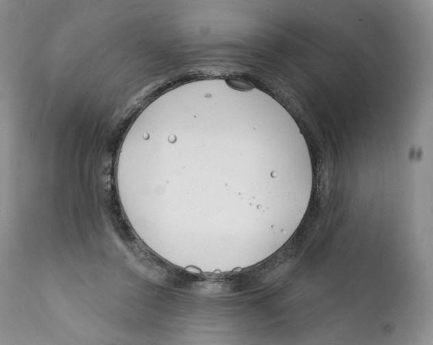 X0000111890356200908201326