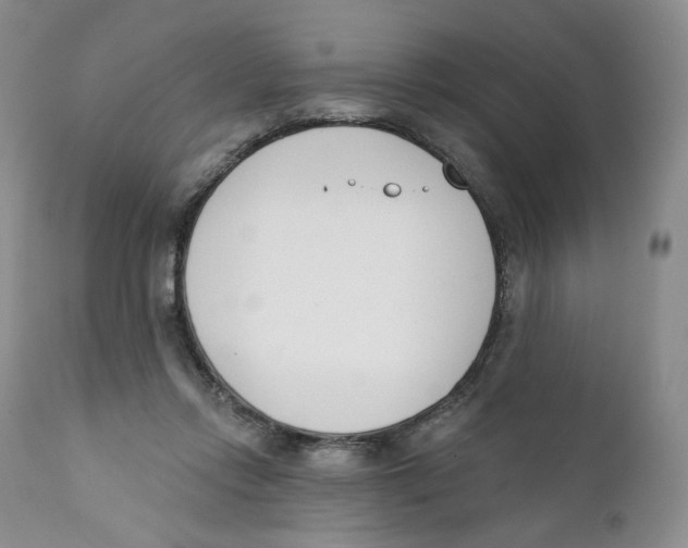 X0000111890358200908201326