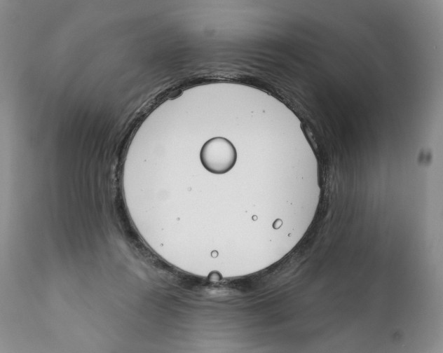 X0000111890360200908201326