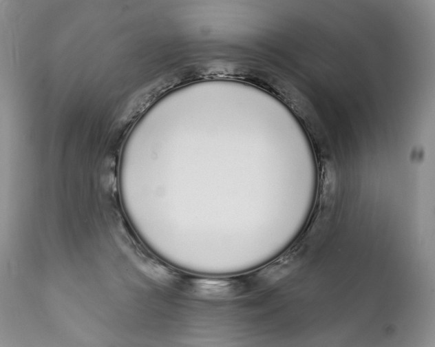 X0000111890361200908201326