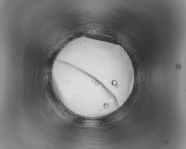 X0000111890363200908201327