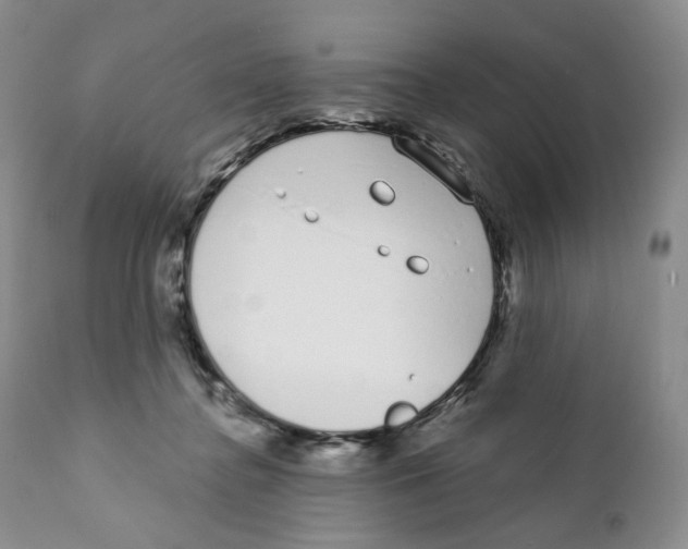 X0000111890364200908201327