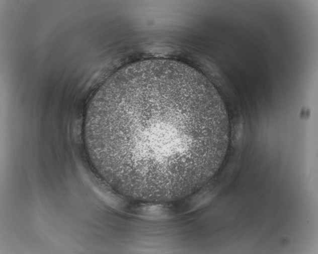 X0000111890365200908201327