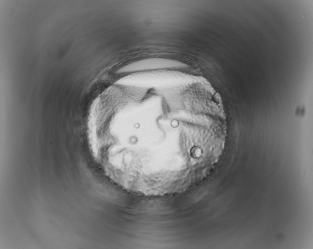 X0000111890367200908201327