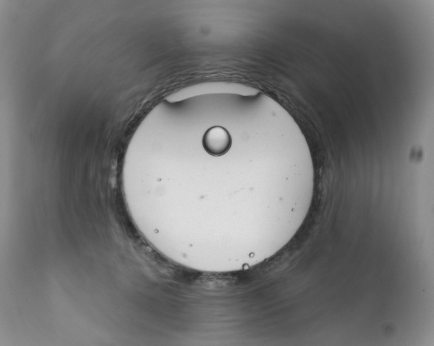 X0000111890368200908201327