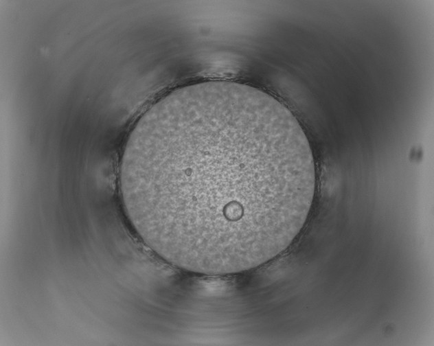 X0000111890370200908201327