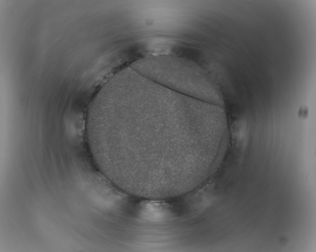 X0000111890372200908201327