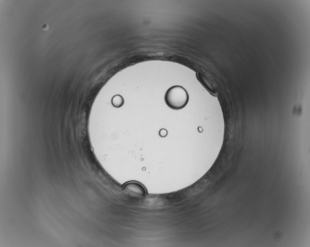 X0000111890376200908201327