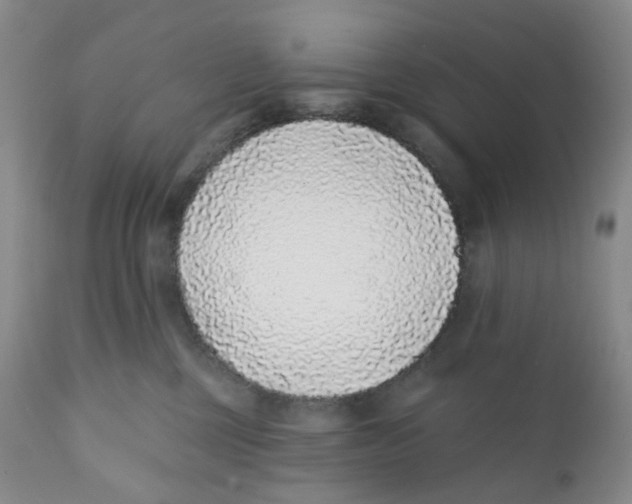 X0000111890377200908201327