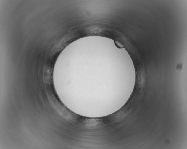 X0000111890378200908201327