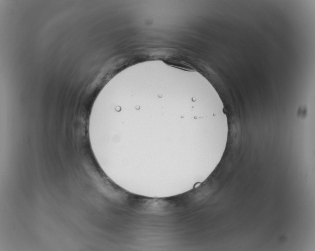 X0000111890379200908201327