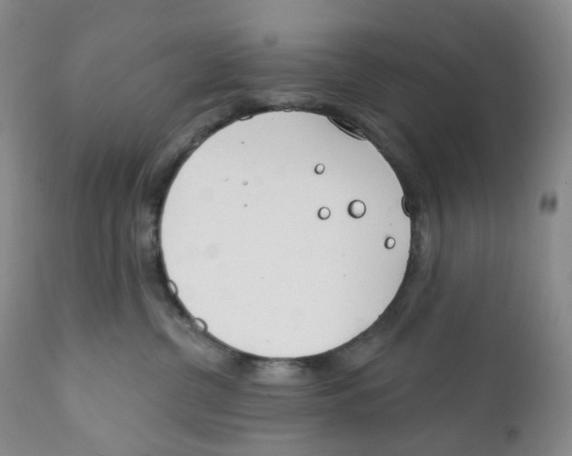 X0000111890380200908201327