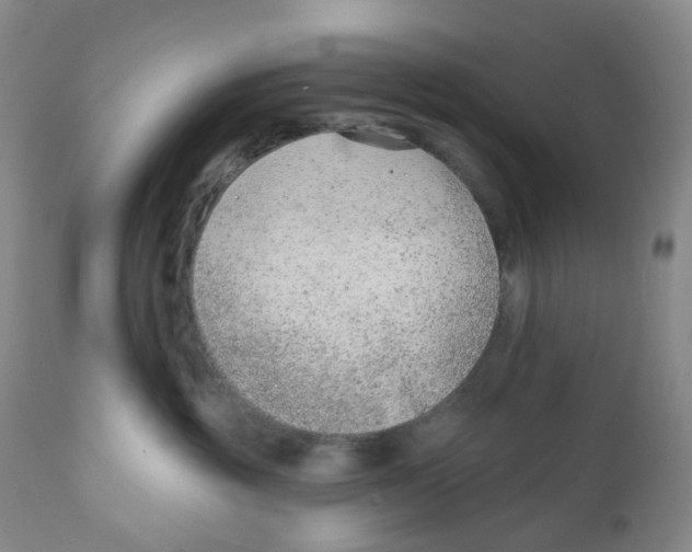 X0000111890381200908201327