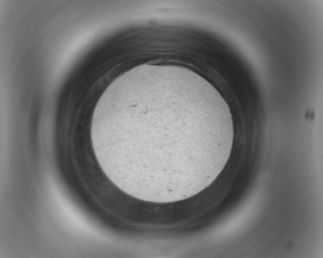 X0000111890383200908201327