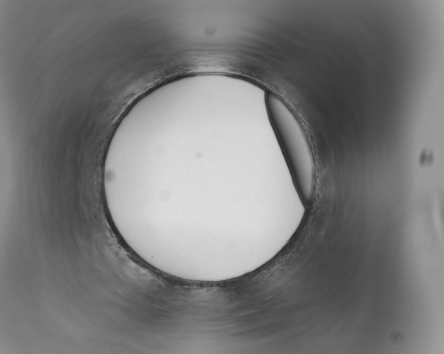 X0000111890385200908201326