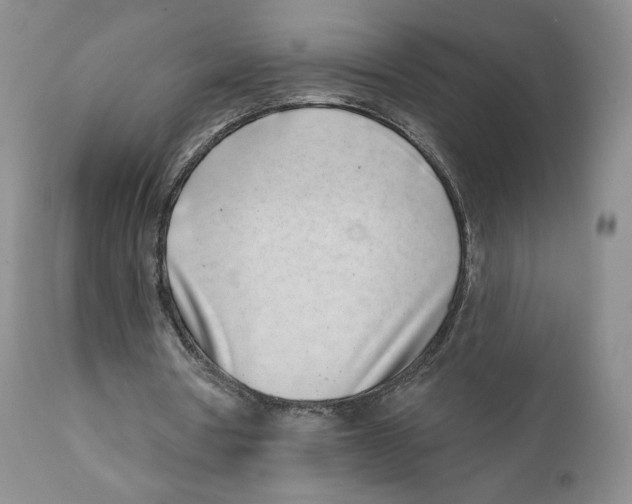 X0000111890386200908201326