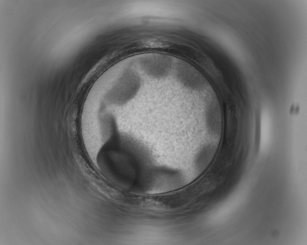 X0000111890387200908201326