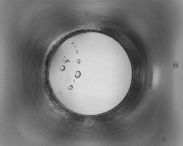 X0000111890388200908201326