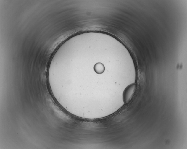 X0000111890389200908201326