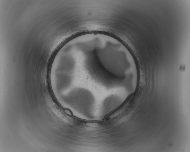 X0000111890391200908201326