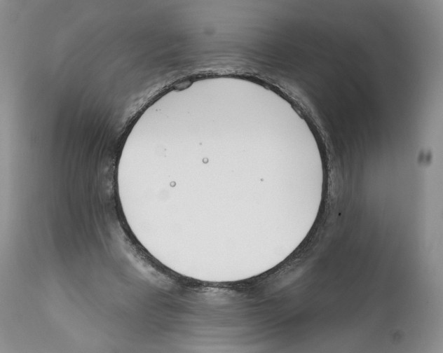 X0000111890393200908201326