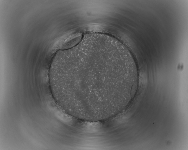 X0000111890401200908201326