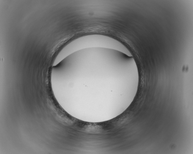 X0000111890403200908201326