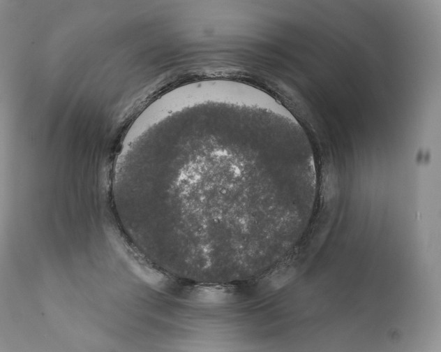 X0000111890405200908201326