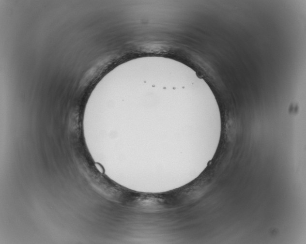 X0000111890407200908201326