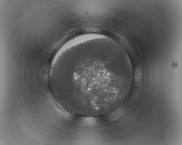 X0000111890409200908201326