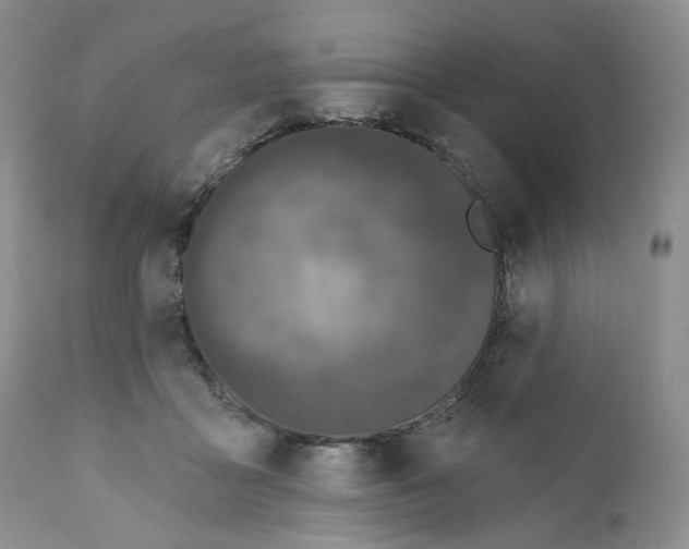 X0000111890411200908201326